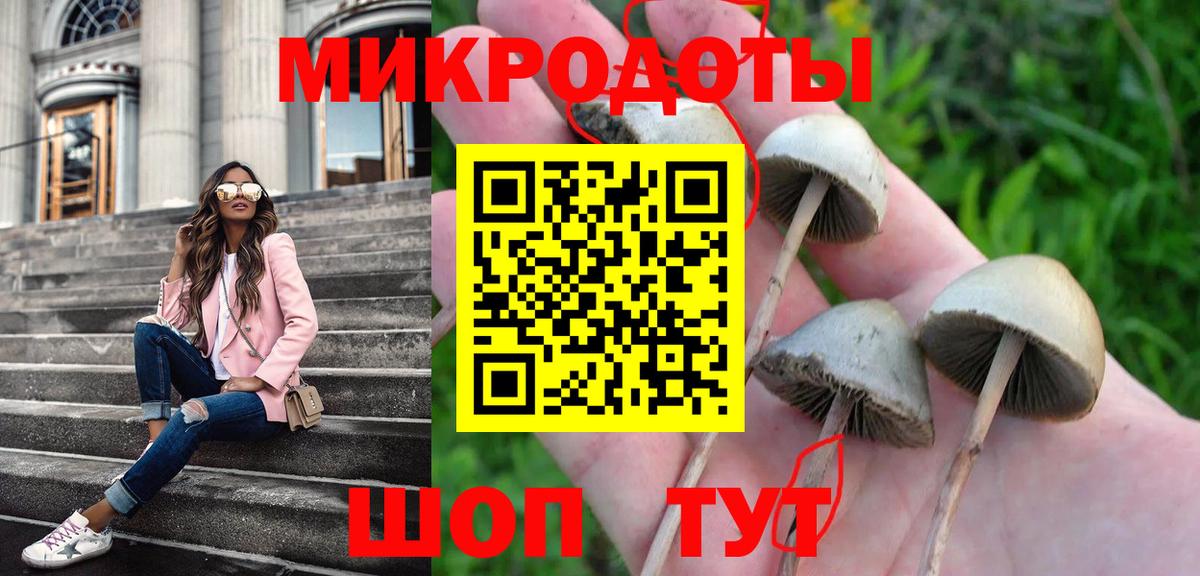 Псилоцибиновые грибы Psilocybine cubensis Нефтекумск