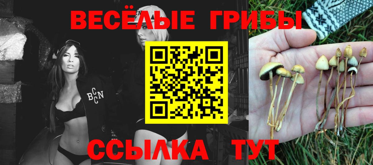 Нефтекумск  купить закладку  Вход с VPN  Галлюциногенные грибы Psilocybe 